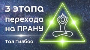 3 этапа Перехода на Прану - пройти всю "праническую беременность" РАЗУМНО -  Тал Гилбоа