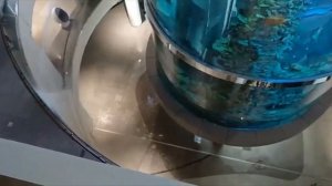 В МОСКОВСКОМ ТЦ ОКЕАНИЯ ПРОРВАЛО САМЫЙ БОЛЬШОЙ В МИРЕ АКВАРИУМ С ПАНОРАМНЫМ ЛИФТОМ