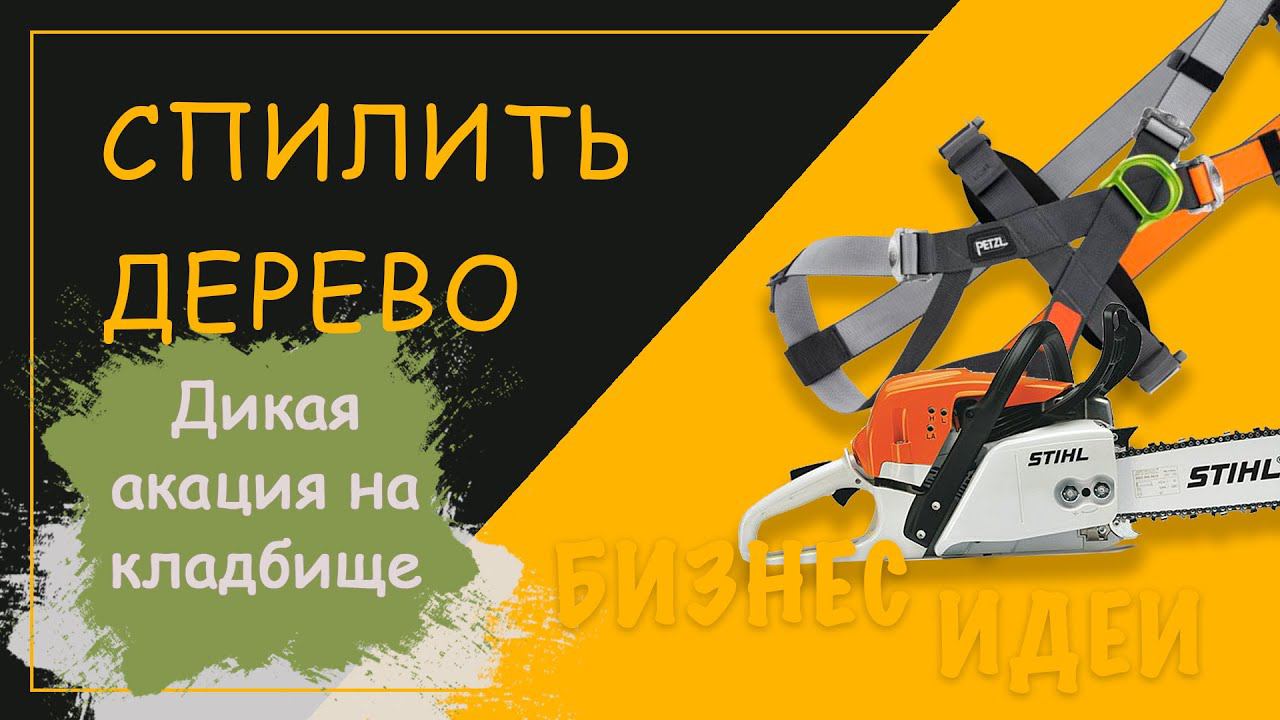 Спиливание деревьев. Спилить дикую акацию на кладбище