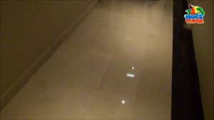 Media Rotana Dubai 5* ОАЭ Море Туров