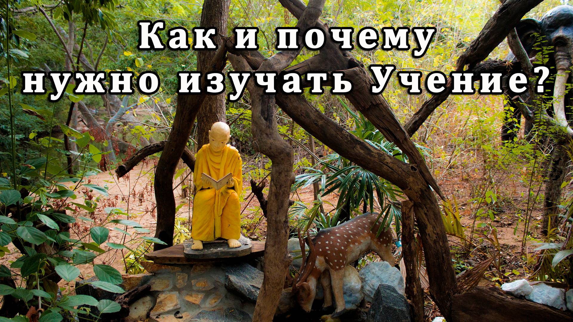 Как и почему нужно изучать Учение?