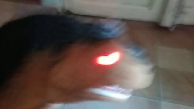 Интерактивный динозавр 2 часть смотреть онлайн