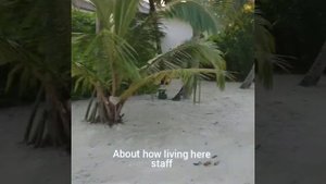 #1# Hideaway beach RESORT💓 rewiev 😍 MALDIVES ❤️ Мальдивы😍глазами персонала🙂обзор острова 😍Staff lif