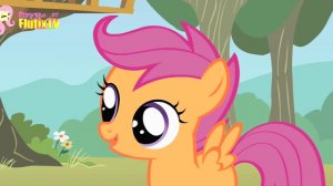 My Little Pony Friendship is Magic Season 1 Episode 18 FlutixTV