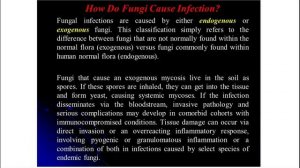 Lecture 17 (3rd course) — Fungi