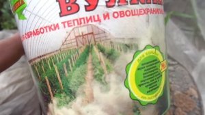 ТАБАЧНАЯ ШАШКА ВУЛКАН НЕ УНИЧТОЖИЛА НАСЕКОМЫХ. Ольга Чернова.