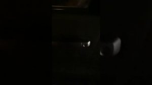 Закрытие дверей при запущенном двигателе прадо 150