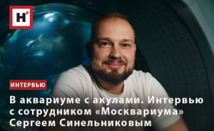 В АКВАРИУМЕ С АКУЛАМИ. ИНТЕРВЬЮ С СОТРУДНИКОМ «МОСКВАРИУМА» СЕРГЕЕМ СИНЕЛЬНИКОВЫМ