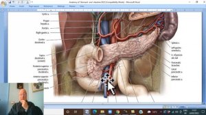 Anatomy GIT Module in English ( Duodenum , part 2  ) ,  by Wahdan