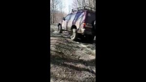 НА ПОКАТУШКАХ