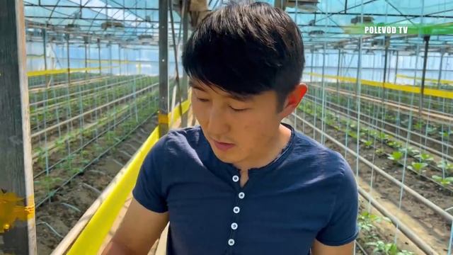 ЛОВУШКА ДЛЯ НАСЕКОМЫХ! смотреть онлайн