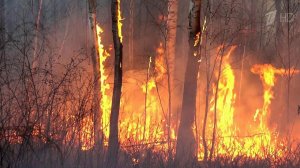 В Сибири и на Дальнем Востоке в огне десятки тысяч гектаров тайги