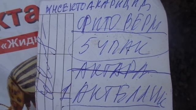 ПАУТИННЫЙ КЛЕЩ!!! КОГДА НИКАКИЕ НАРОДНЫЕ СРЕДСТВА УЖЕ НЕ ПОМОГУТ? Ольга Чернова. смотреть онлайн