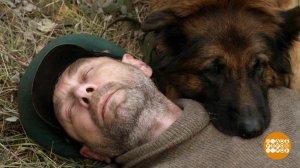 "Джульбарс": ждем премьеру. Доброе утро. Фрагмент выпуска от 24.04.2020