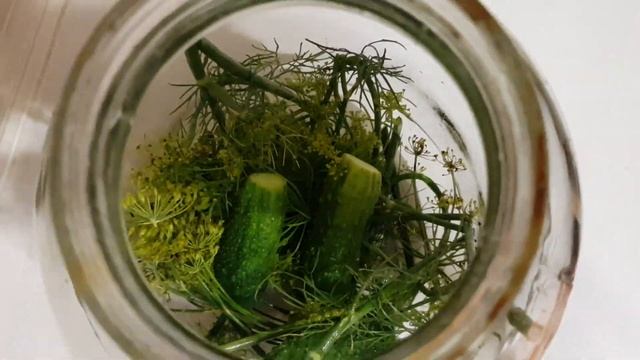 Самые ХРУСТЯЩИЕ малосольные ОГУРЦЫ! Простейший рецепт!..salted cucumbers fast recipe