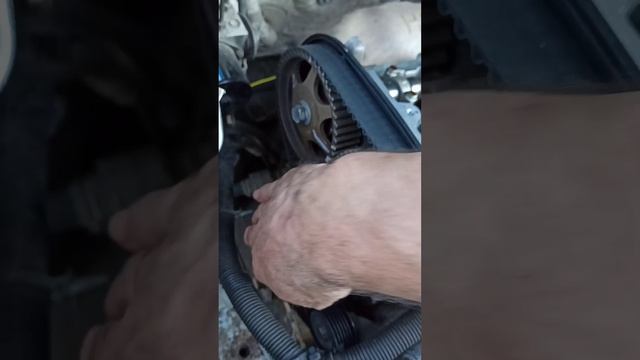 Выставляю ГРМ Чери Фора