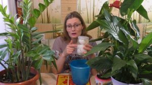 БЕСПЛАТНАЯ ПОДКОРМКА для БЕШЕНОГО РОСТА комнатных растений