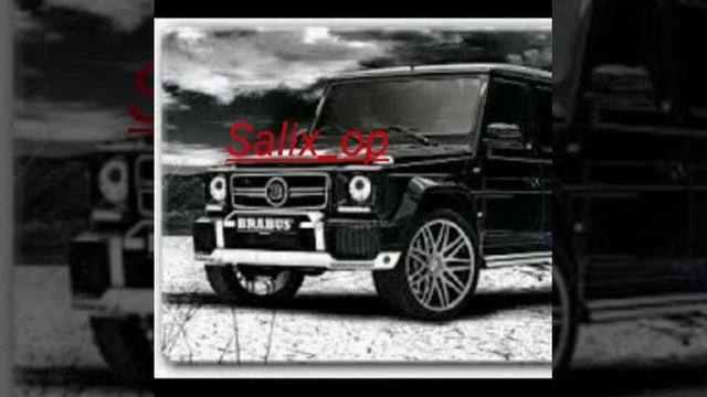 Salix_op -открытие смотреть онлайн