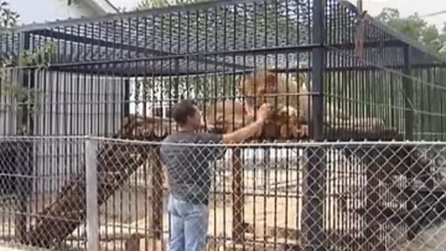 сюжет база отдыха Рыболов-профи смотреть онлайн