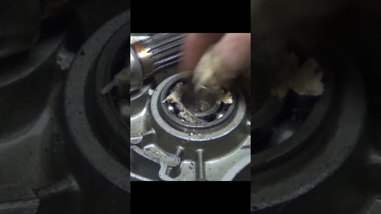 вынуть подшипник хлебом #shorts смотреть онлайн