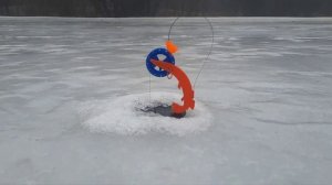 Ловля щуки на жерлицы в январе I Беларусь