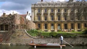 The Last Rose of Summer