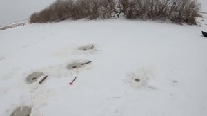 РЫБАЛКА НА ХАПУГИ 2022. ПОЙМАЛ ЭТОГО КРАСАВЦА И ОТПУСТИЛ...