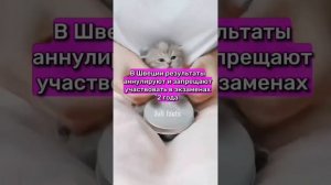 САМЫЕ СЛОЖНЫЕ ЗАГАДКИ В МИРЕ