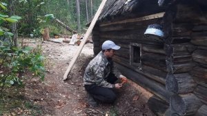 Делаю полы в избе. Райский вечер в лесу.