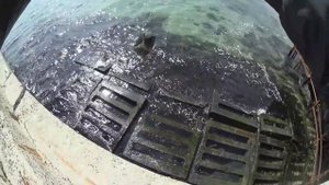 Ловля бычка и рыбы собаки на Черноморском побережье.