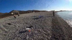 Сарган в декабре 2020