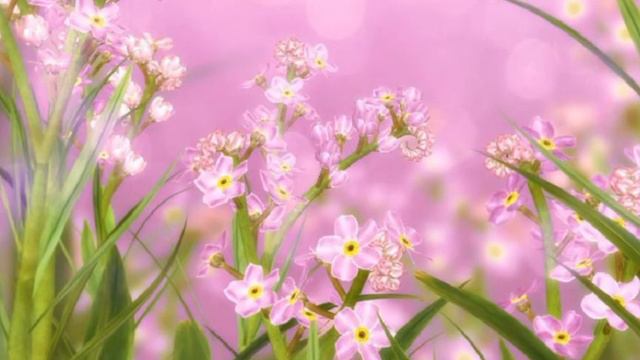 Космикс всех винкс блогеров смотреть онлайн