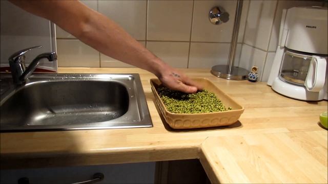 Самый простой и быстрый способ прорастить маш смотреть онлайн