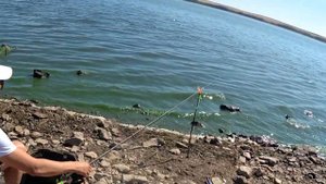 Ловля леща на Ириклинском водохранилище