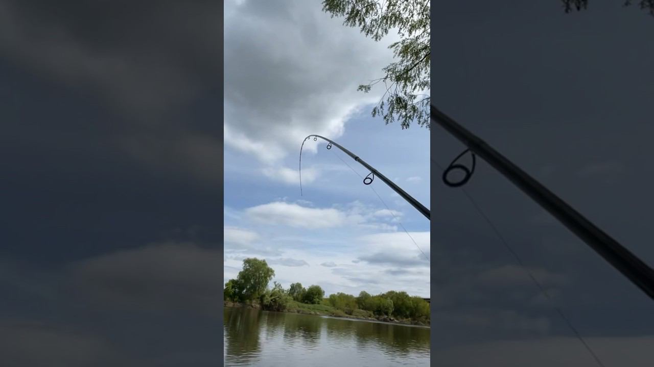 ТАКОГО ВЫ ТОЧНО НЕ ВИДЕЛИ НАСТОЯЩИЙ ТРОФЕЙ смотреть онлайн