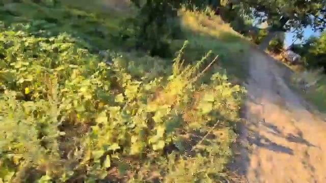 ?? Влог. Остров Сарпинский. Едем на дачу к друзьям.