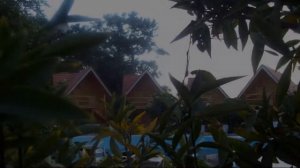 Woodline Hotel, Kemer, Turkey