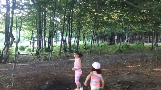 Topi i humbur film per femije смотреть онлайн