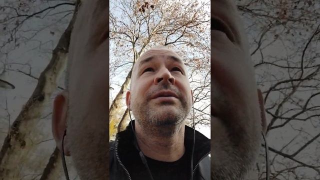 Там где клён шумит. Акапелло.