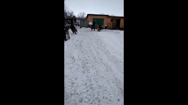 обзор универсального отвала для тяжелого мотоблока и ЗИМ 350 из бочки, и чистка снега смотреть онлайн