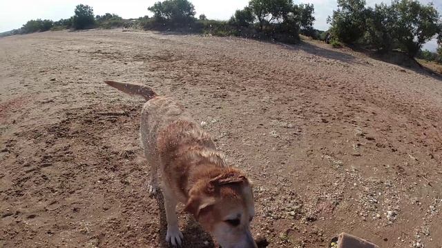 Пару слов о Крыме смотреть онлайн