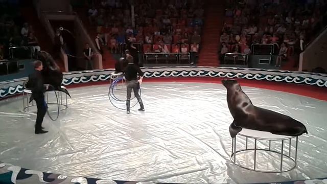 Василий Тимченко, Ярославль, ч.1 смотреть онлайн