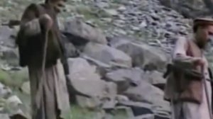 Алькаиду возглавил новый лидер - Айман Завахири