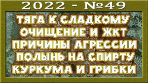 Тяга к сладкому. Как избавиться? Проблемы с функциональностью ЖКТ. Агрессия. Полынь на спирту.