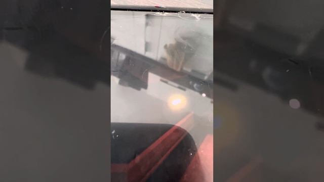 Играем в дорс и в другую игру смотреть онлайн