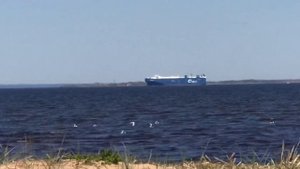 ПЛЯЖ БОЛЬШАЯ ИЖОРА 24.05.2020 ОТДЫХ