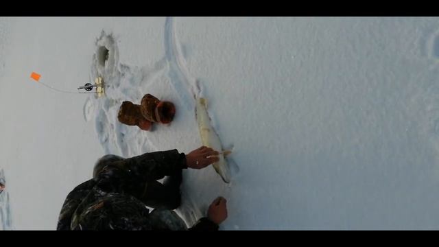 Рыбалка на реке Омь на жерлицы 10.01.20г.#ловлянажерлицы#рыбалкавсибири#щуканажерлицы