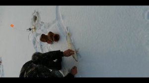 Рыбалка на реке Омь на жерлицы 10.01.20г.#ловлянажерлицы#рыбалкавсибири#щуканажерлицы