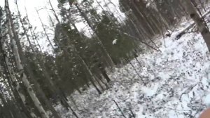 Охота с мелкашкой и Бессмертный Рябчик
