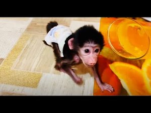 Люся ищет приключений на свою Опу!